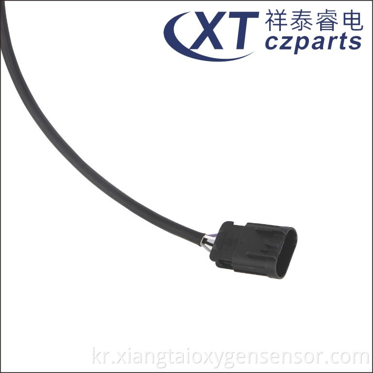 Oxygen Sensor